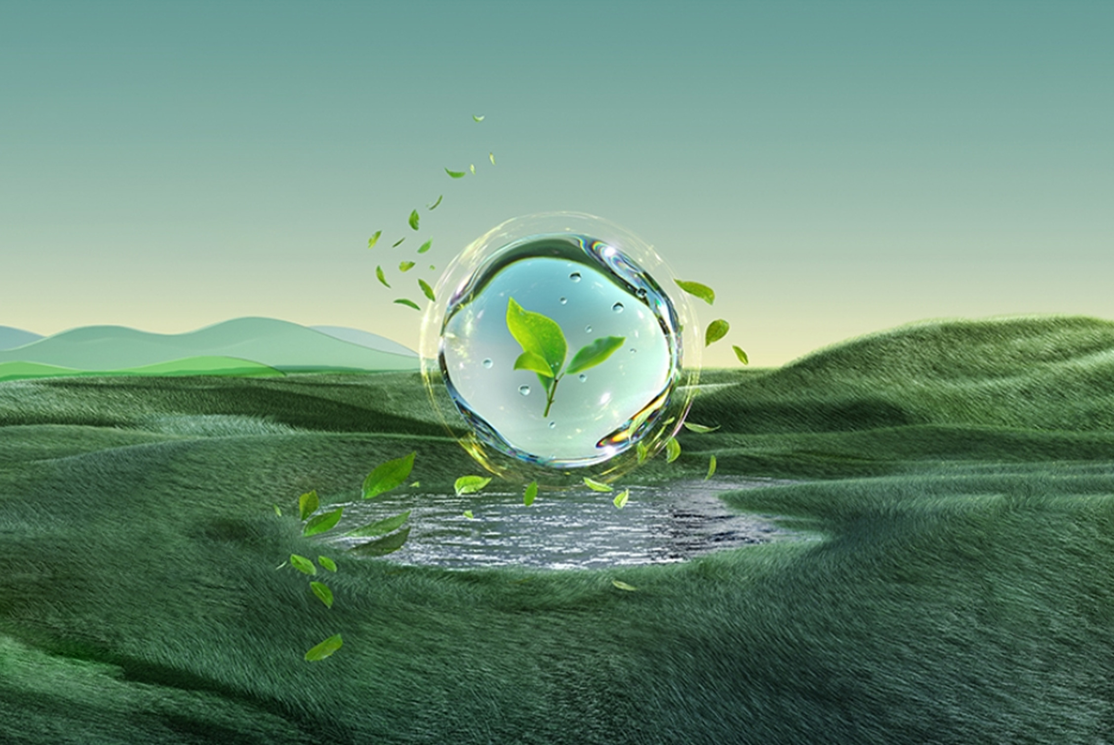 The Effect of Negative Ions